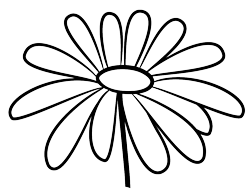 Daisy birth flower