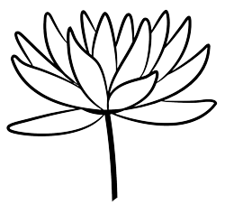 Water Lily Siam birth flower