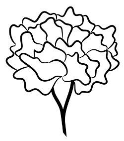 Marigold birth flower