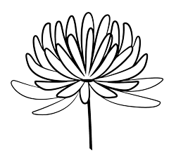 Chrysanthamum birth flower