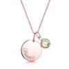 Rose-Gold-Disc-Charm-Hero-2