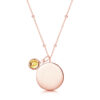 compass-necklace-with-charm-rose-back-nov