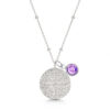 compass-necklace-with-charm-silver-feb