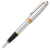 23K gold detail fountain pen