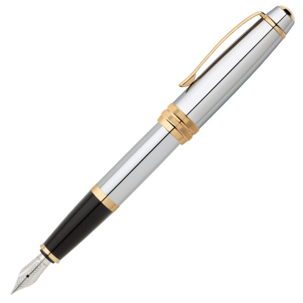 23K gold detail fountain pen