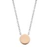 small-rose-gold-disc-necklace