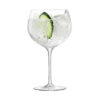 G1468-24-301-personalised-gin-glas