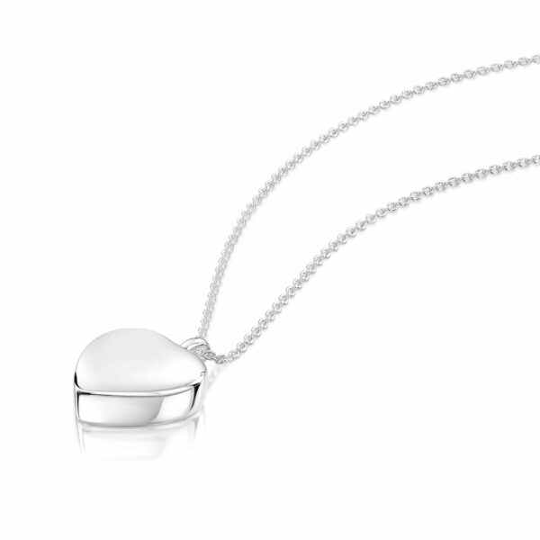 Personalised-Ashes-Necklace-Urn-Locket-DCPD-1779-SS