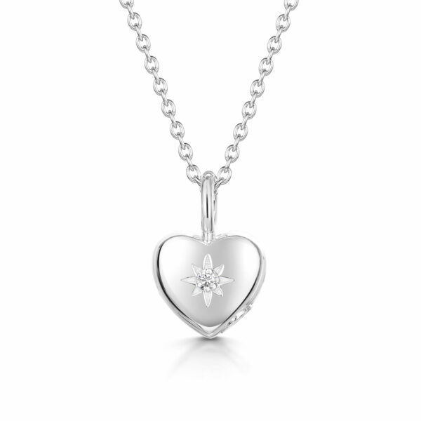 crystal-tiny-heart-ashes-necklace-crematinon-jewellery-SP08476A-SS