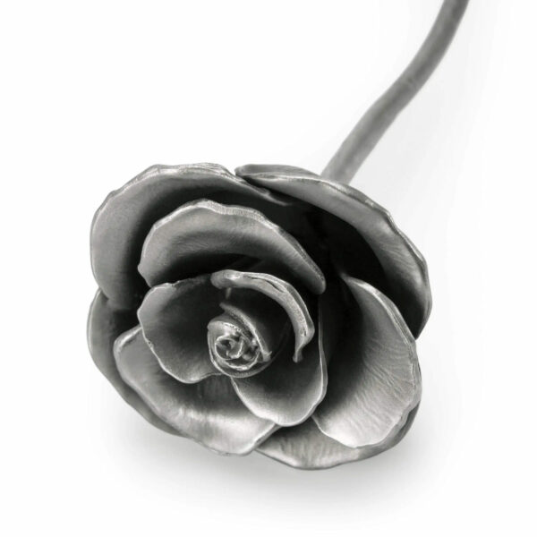 pewter-valentines-rose-rosa-blossom-0170002