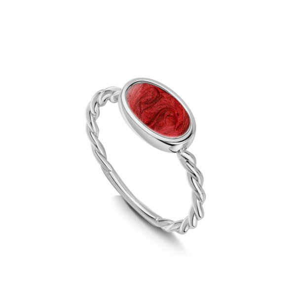 Oval Ashes Resin Ring With Twisted Band - Silver