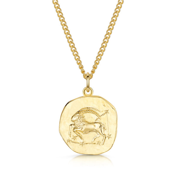 Men's Gold Coin Zodiac Necklace - Capricorn
