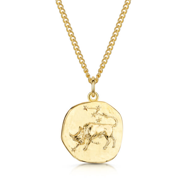 Men's Gold Coin Zodiac Necklace - Taurus