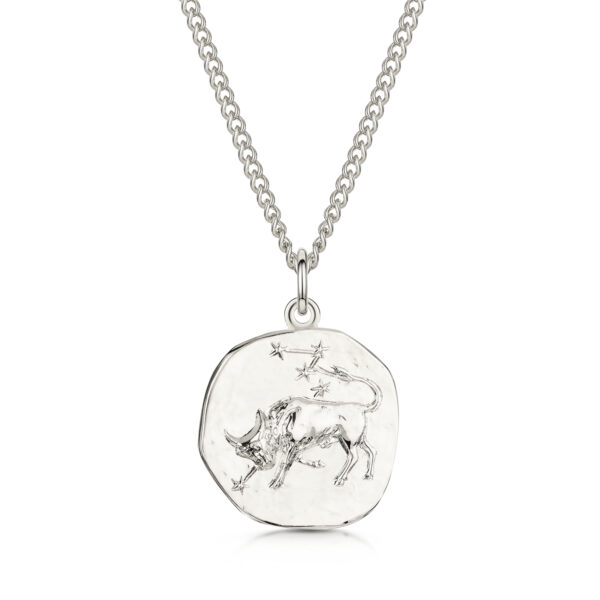 Men's Silver Coin Zodiac Necklace - Taurus
