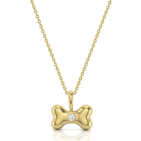 Dog Bone Urn Crystal Necklace - Gold-SP22037A-YGP-Front