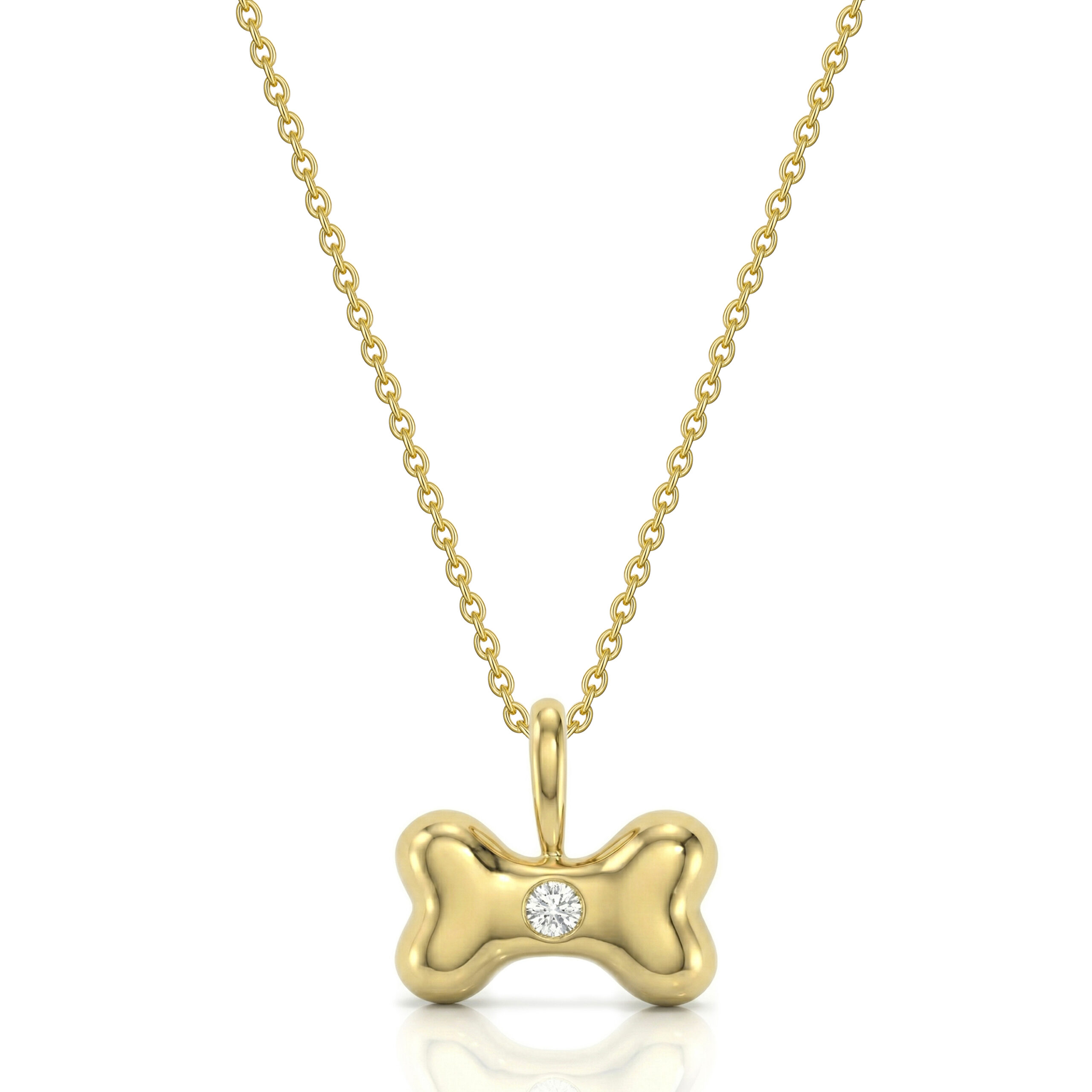 Dog Bone Urn Crystal Necklace - Gold-SP22037A-YGP-Front