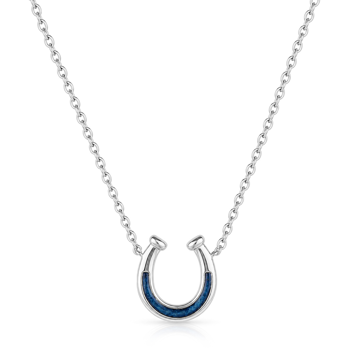 Horseshoe Ashes Resin Necklace - Silver