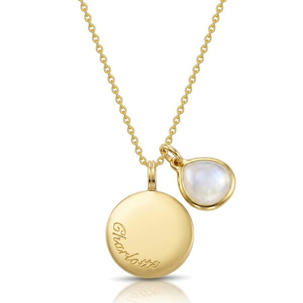 Birthstone Coin Necklace-Gold-DCPD002332-YGP-Hero
